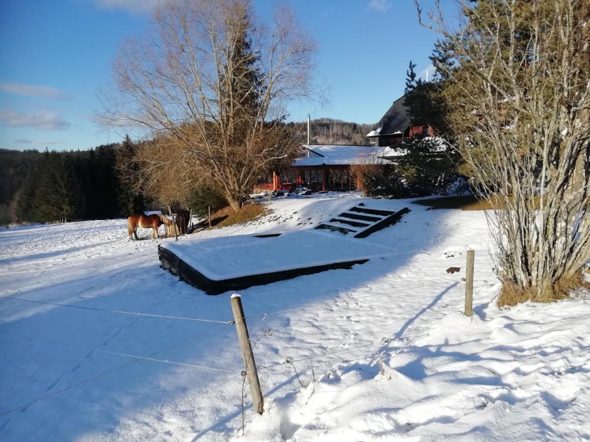 Hotel Farma U Mauritzu 3*